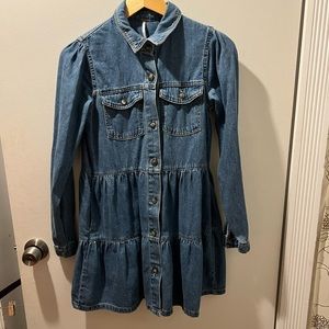 Free people jean dress